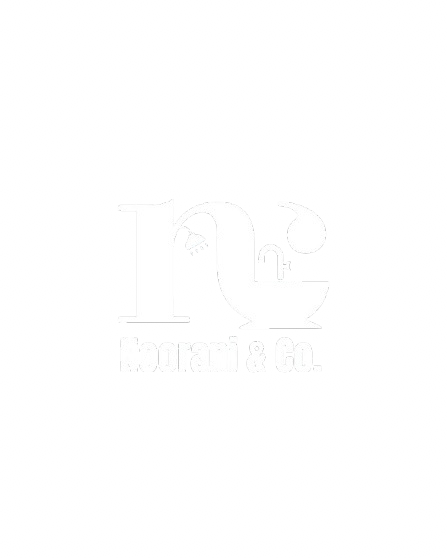 nooraniandco.com
